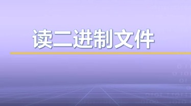 视频教学 | JAVA程序设计 5.3.4-读二进制文件